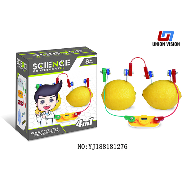 Fruit battery toy