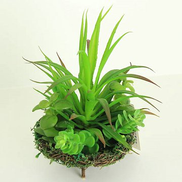 Artificial Bonsai with Rattan Base